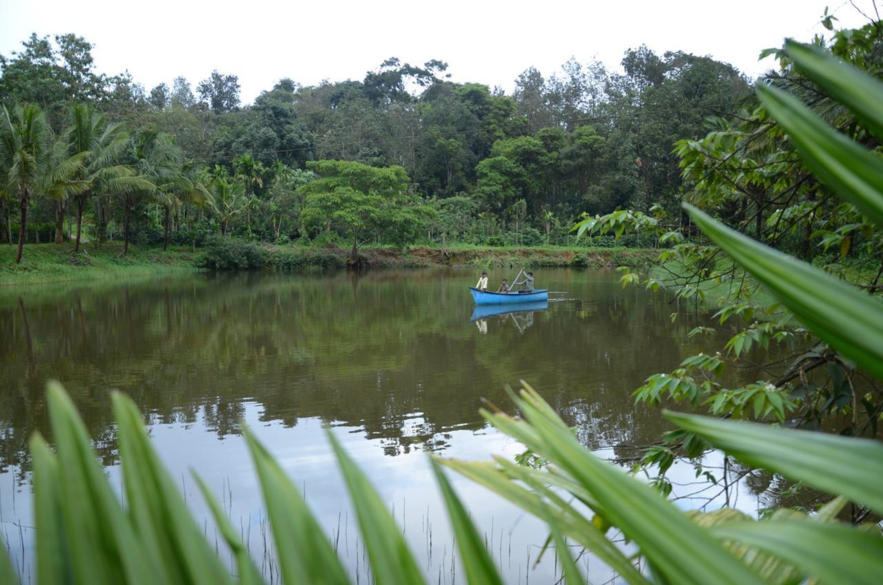 Leisure Homestay - Pool, Boating, Zipline, Home Food, Estate Chikmagalur Bagian luar foto